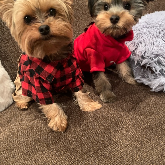 Meet your Posher - Picture 3 of 5